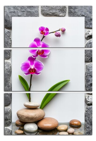Obraz na plátne Orchidea a kamene