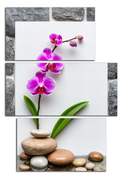 Obraz na plátne Orchidea a kamene