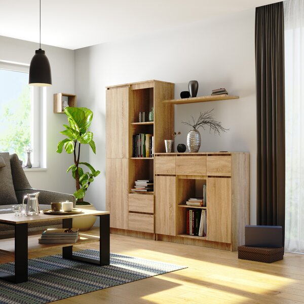Ak furniture Komoda Baros 100 cm dub sonoma