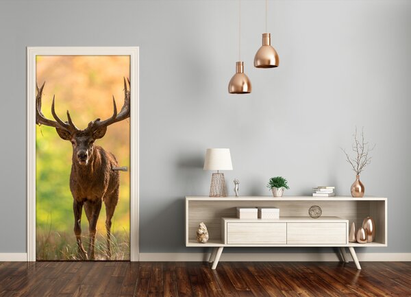 Fototapeta samolepiace na dvere jeleň v lese 95x205 cm