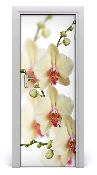 Samolepiace fototapety na dvere orchidea 85x205 cm