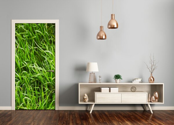 Samolepiace fototapety na dvere tráva 95x205 cm