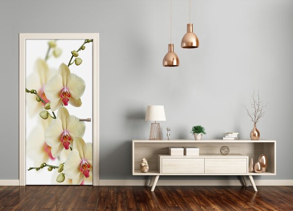 Samolepiace fototapety na dvere orchidea 85x205 cm