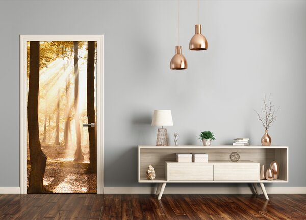 Fototapeta na dvere samolepiace les jeseň 75x205 cm