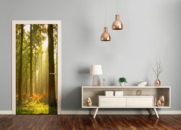 Fototapeta na dvere pekný les 75x205 cm