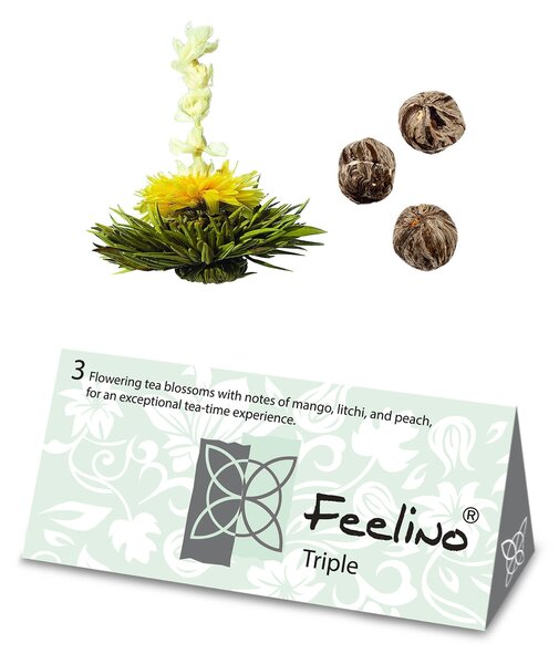 Feelino Čajové kvety, 6 rôznych odrôd, jednotlivo balené, veľmi produktívne