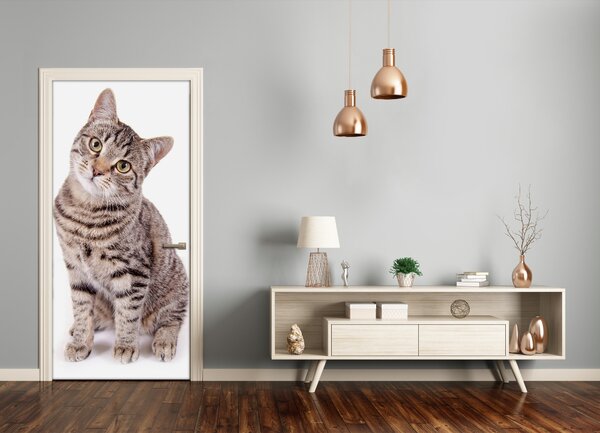 Samolepiace fototapety na dvere mačka 75x205 cm