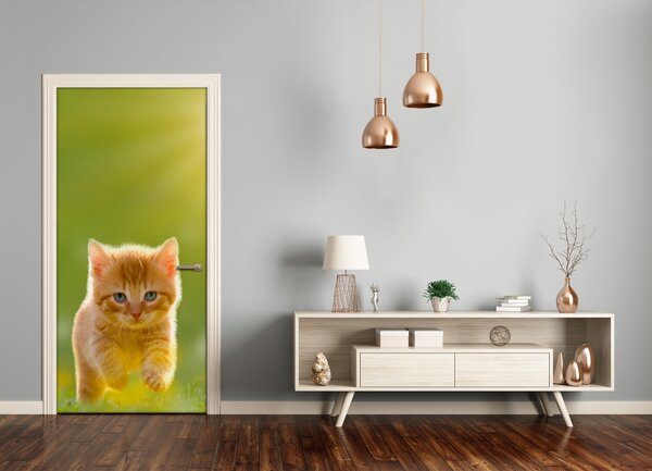 Samolepiace fototapety na dvere červená mačka 75x205 cm