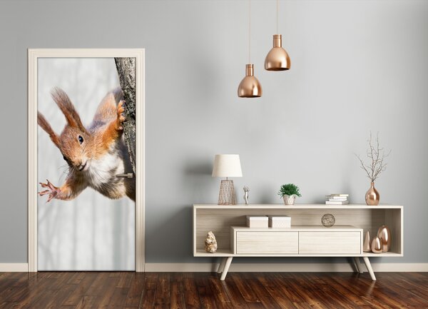 Samolepiace fototapety na dvere Veverička na strome 75x205 cm