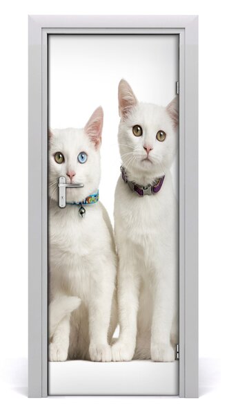 Samolepiace fototapety na dvere Dve biele mačky 75x205 cm