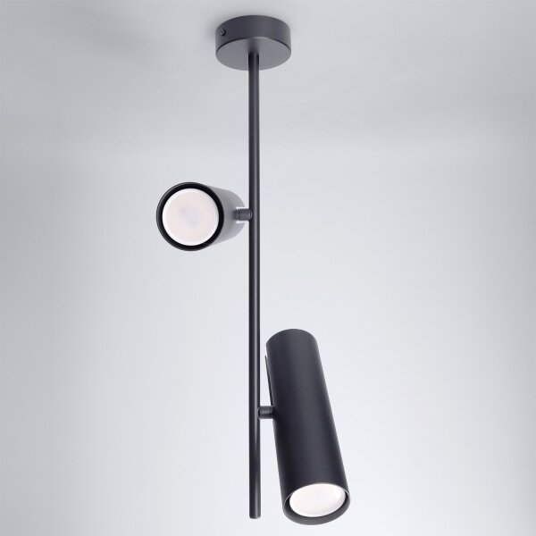 Brilagi - LED RGBW Stmievaný luster na tyči BRANCH 2xGU10/6,5W/230V čierna