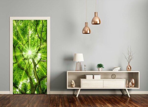 Fototapeta samolepiace koruna stromov 75x205 cm
