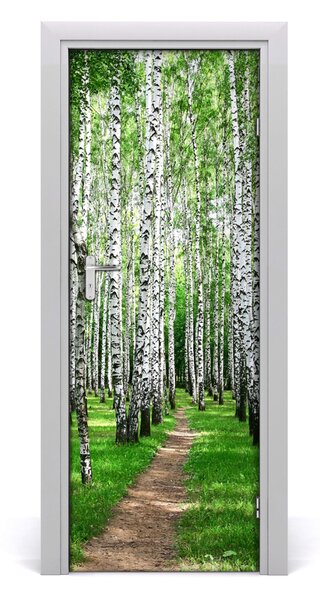 Fototapeta na dvere Břízová les 95x205 cm