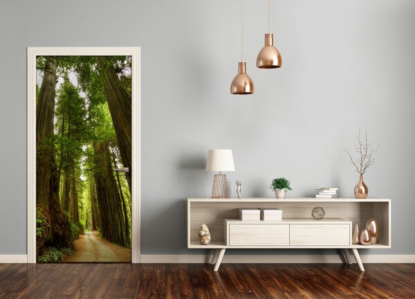 Fototapeta na dvere chodník v lese 95x205 cm