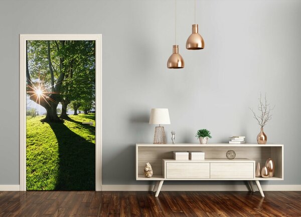 Fototapeta na dvere park 75x205 cm