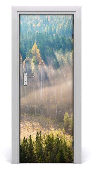 Fototapeta na dvere samolepiace hmla nad lesom 85x205 cm