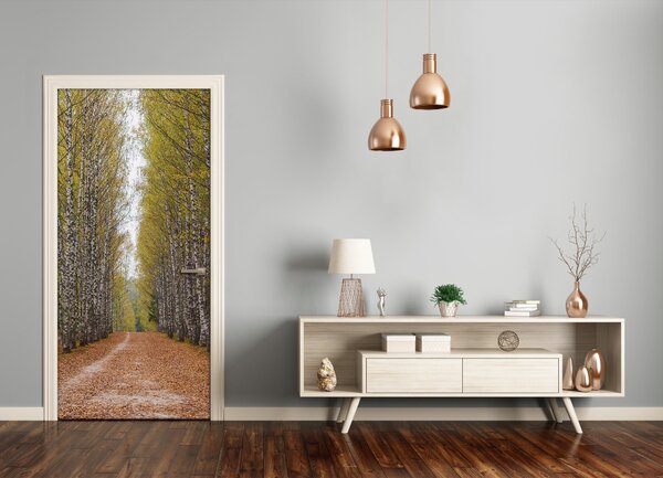 Fototapeta na dvere samolepiace Břízová les 85x205 cm