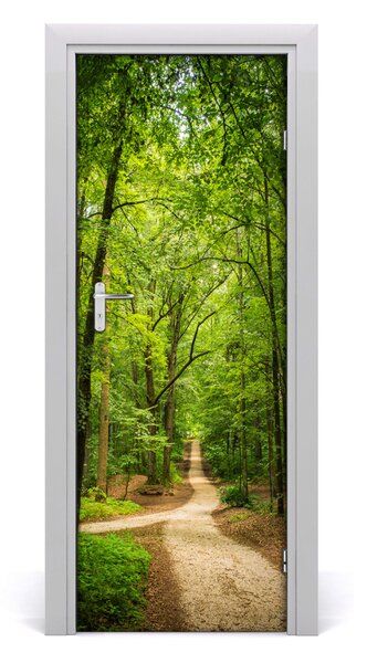 Fototapeta na dvere samolepiace chodník v lese 85x205 cm