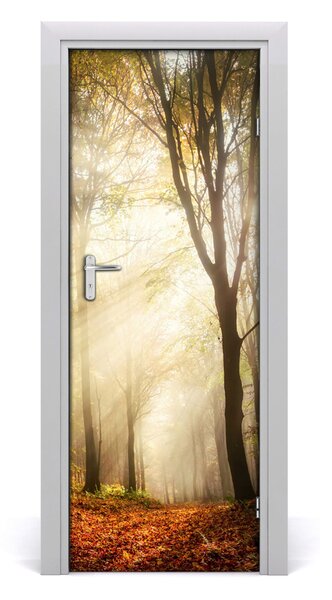 Fototapeta na dvere samolepiace les jeseň 95x205 cm