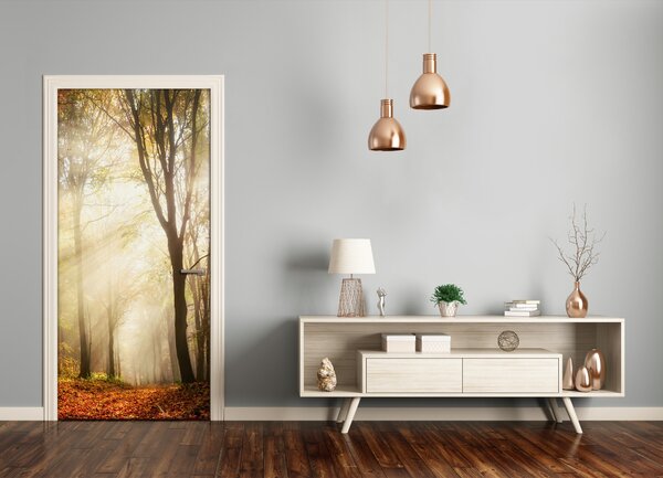 Fototapeta na dvere samolepiace les jeseň 95x205 cm