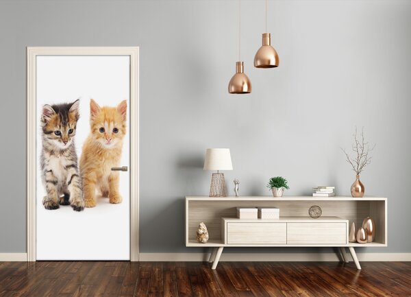Samolepiace fototapety na dvere Sivá a červená mačka 75x205 cm