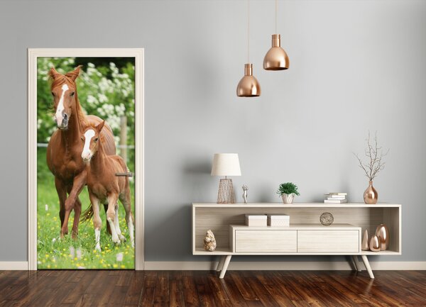 Samolepiace fototapety na dvere kobyla žrebec 95x205 cm