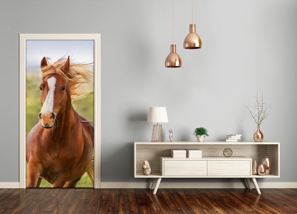 Samolepiace fototapety na dvere Kôň v cvale 75x205 cm
