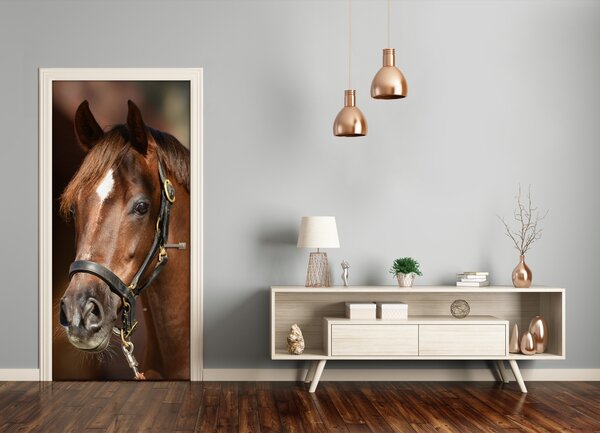 Samolepiace fototapety na dvere kôň portrét 75x205 cm