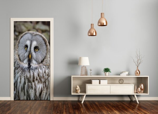Samolepiace fototapety na dvere Sova na kopci 85x205 cm