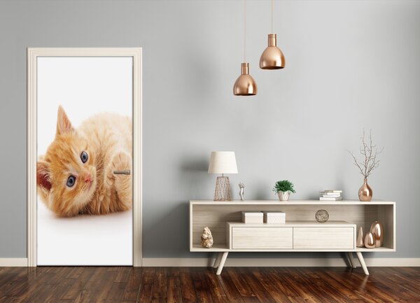 Samolepiace fototapety na dvere Malá červená mačka 95x205 cm