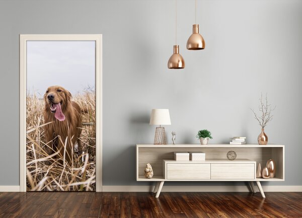 Samolepiace fototapety na dvere golden retriever 95x205 cm