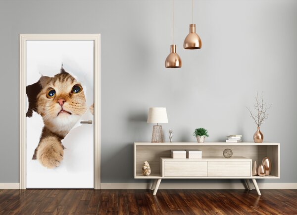 Samolepiace fototapety na dvere ściana Kot 95x205 cm