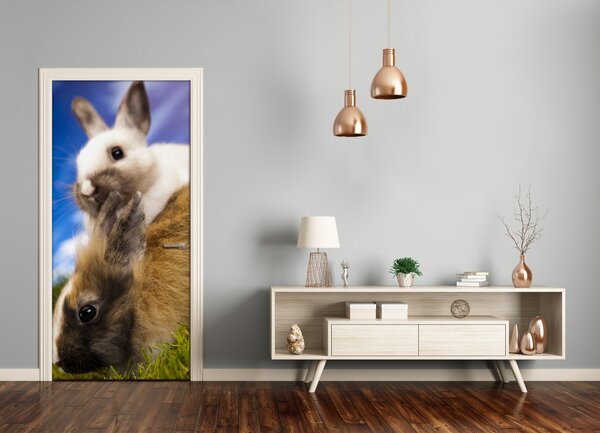 Samolepiace fototapety na dvere dva králiky 85x205 cm