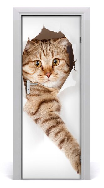 Samolepiace fototapety na dvere mačka 95x205 cm