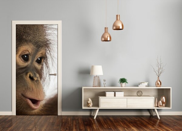Samolepiace fototapety na dvere mladý orangutan 85x205 cm