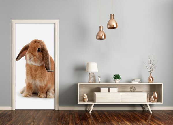 Samolepiace fototapety na dvere králik 95x205 cm