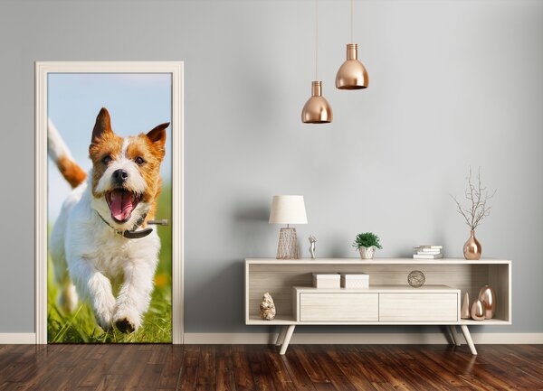 Samolepiace fototapety na dvere Jack Rusell 85x205 cm