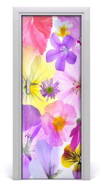 Fototapeta na dvere farebné kvety 95x205 cm