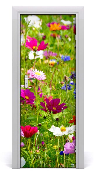 Fototapeta na dvere poľné kvety 95x205 cm