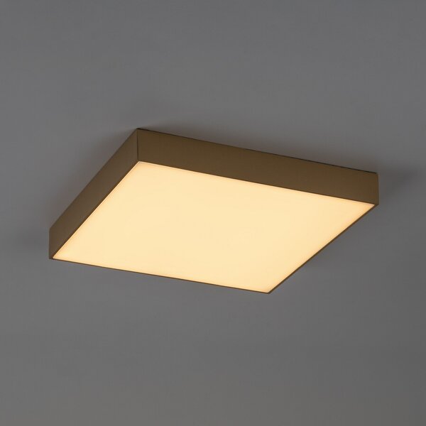 Rabalux TARTU LED vonkajšie stropné svietidlo 77000