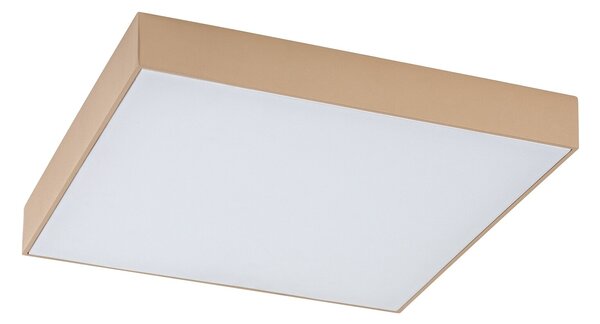 Rabalux TARTU LED vonkajšie stropné svietidlo 77000
