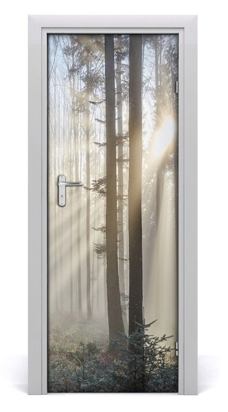 Fototapeta na dvere hmla v lese 75x205 cm