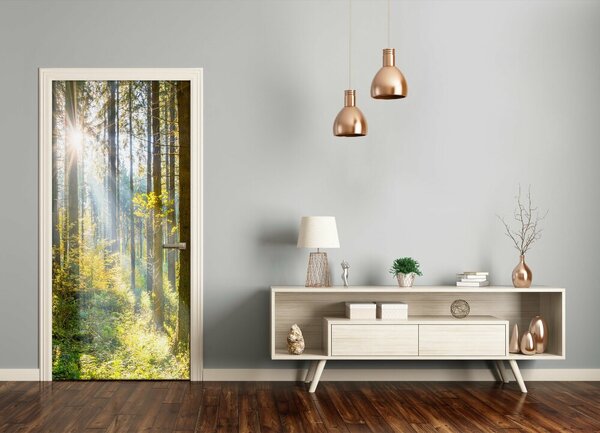 Fototapeta na dvere slnka v lese 85x205 cm