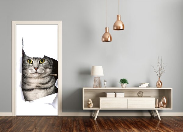 Fototapeta samolepiace na dvere mačka v diere 85x205 cm