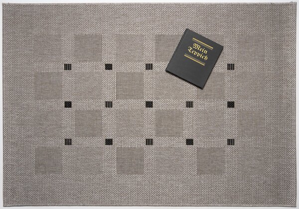Devos Caby (DC Carpets) , Kusový koberec FLOORLUX Silver / Black 20079 Spoltex – na von aj na doma, 240x330, béžová, chodba / predsieň
