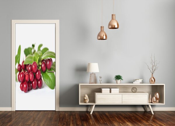 Fototapeta na dvere do domu samolepiace čučoriedka 75x205 cm