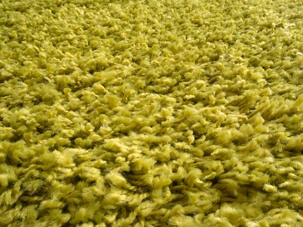 Mono Carpet , Kusový koberec Efor Shaggy 1903 Green, 80x150, zelená, obývacia izba