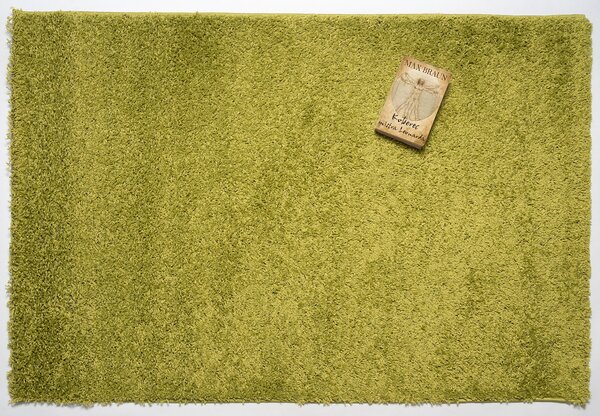 Mono Carpet , Kusový koberec Efor Shaggy 1903 Green, 80x150, zelená, obývacia izba