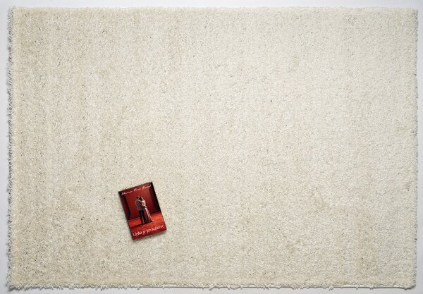 Mono Carpet , Kusový koberec Efor Shaggy 2137 Cream, 80x150, biela, obývacia izba