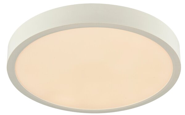 STROPNÉ LED SVIETIDLO, 30/3,6 cm Boxxx - Interiérové svietidlá